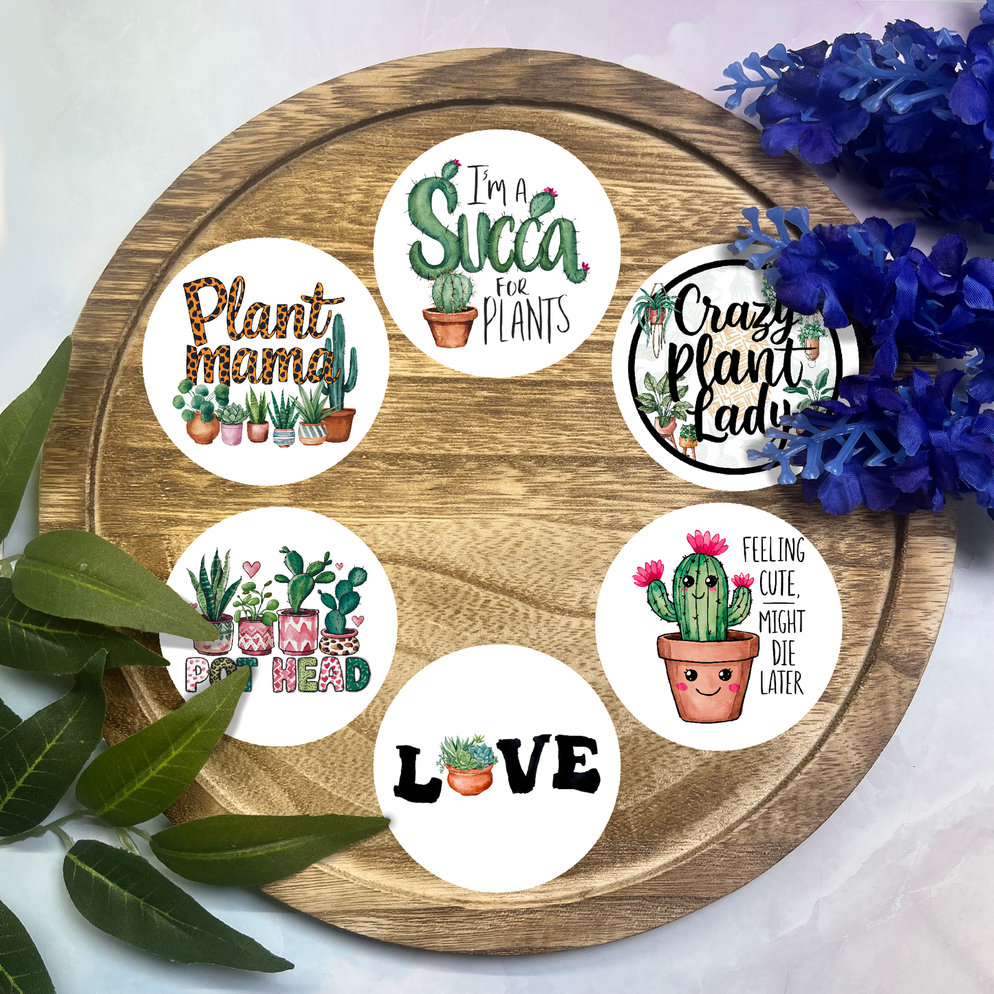 Plant Cardstock Rounds- 6 Pack
